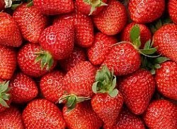 Crêpe fraises du jardin de LOUANNEC (3€50)